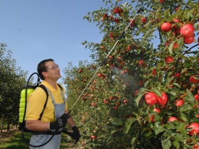 Zádový postřikovač Titan 20