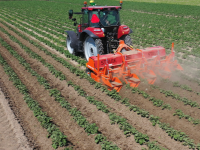 Rotační řádková fréza Row-Fix Struik