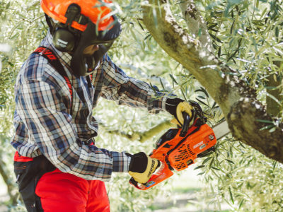 Motorová pila ECHO CS-2511WES/25