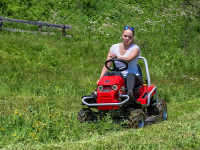 Gecon Dvouválec, Briggs &amp; Stratton Intek 7160