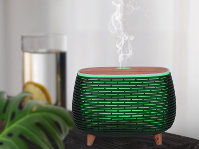 EB1649B - Aromatický difuzér BloomMist