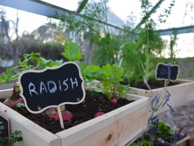 Palram - Canopia Hybrid 6x8 - polykarbonátový skleník