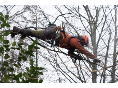 Silky Zubat Ultimate 330-7,5-6,5 - pila se zahnutou pevnou čepelí