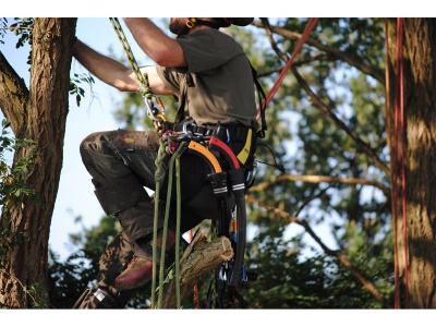 Silky Tsurugi Curve 330-7.5 - ruční pila