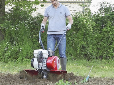 PUBERT QUATRO  JUNIOR V3 60H