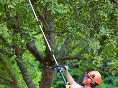 Ryobi RXEX01 - prodlužovací rukojeť Expand-it