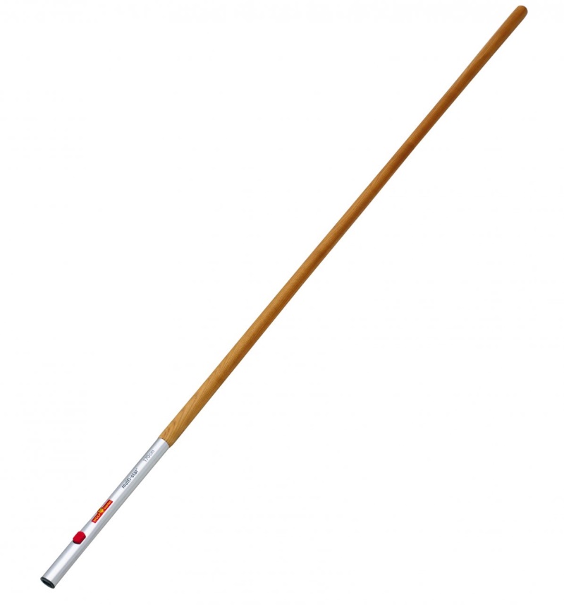 ZM 170 JASANOVÁ NÁSADA