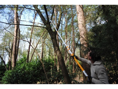 Silky Longboy 3600-7.5 - teleskopická pila