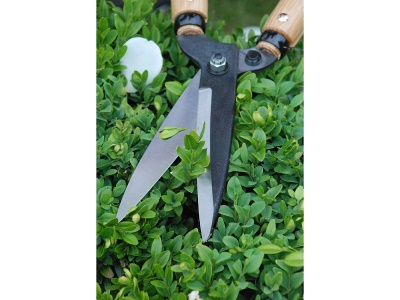 Okatsune 204 - dlouhé plotové nůžky s krátkými čepelemi