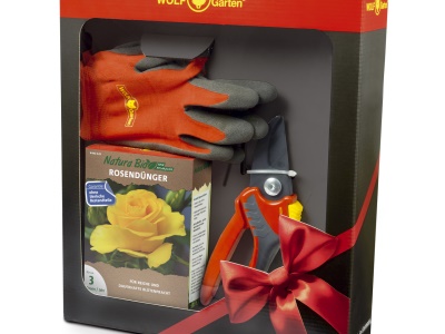 RŮŽE 8X N-RO 0,25, RR 2500, GH-BA 8