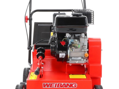 Weibang WB 384 RC