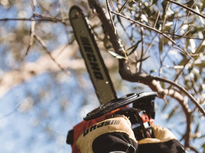 Motorová pila ECHO CS-280TES