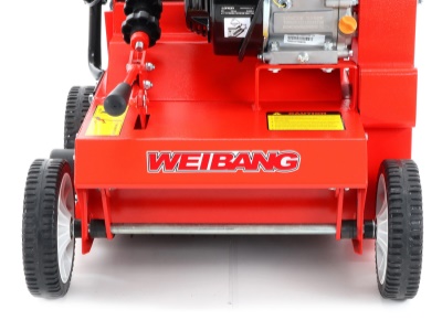 Weibang WB 384 RC