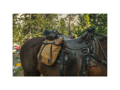 Silky Pocketboy Curve 170-8 - skládací pila