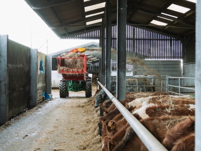 Teagle Tomahawk 6100H