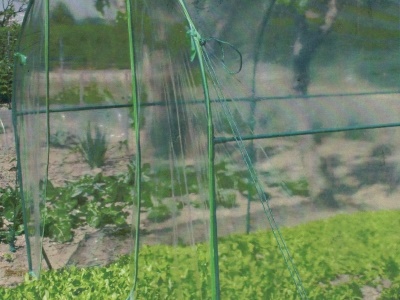 VERDEMAX plachta na 2640