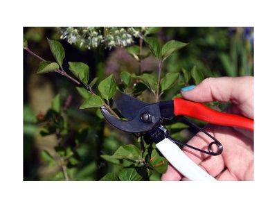 Okatsune 101 - zahradní nůžky pro malé ruce