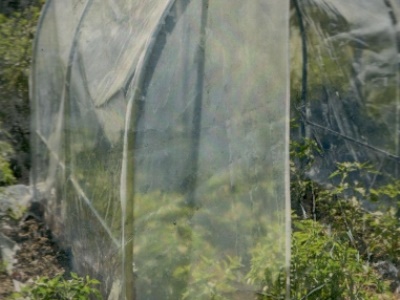 VERDEMAX plachta na 2596