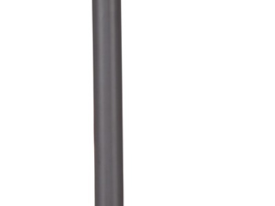 ASP-D RÝČ ŠPIČATÝ
