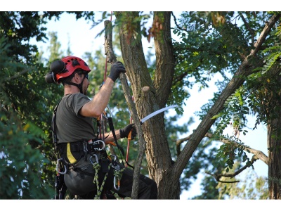 Silky Tsurugi Curve 330-10 - ruční pila