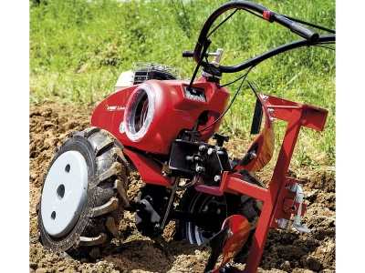 PUBERT QUATRO  JUNIOR V3 60H