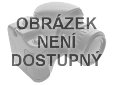 Riwall PRO RMSP 6x8 Anthracite - zahradní domek kovový 2,4 x 1,8 m s pultovou střechou antracit