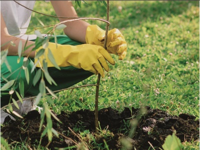 Scheppach EB 2000 - půdní vrták + 2 vrtáky