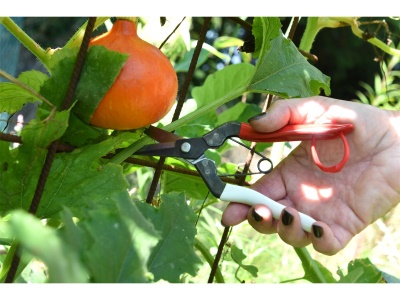 Okatsune 307 - zastřihovací nůžky s krátkými čepelemi