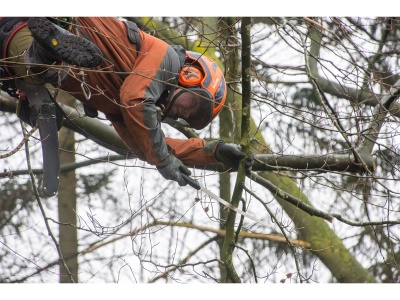 Silky Zübat Ultimate 330-7.5-6.5 - pila se zahnutou pevnou čepelí