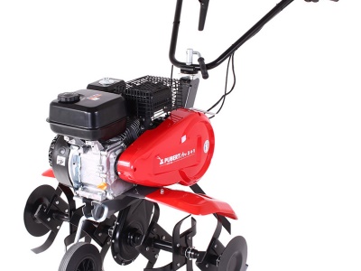 PUBERT ARO 55P C3