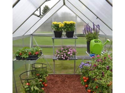 Palram - Canopia Multiline 6x8 - polykarbonátový skleník