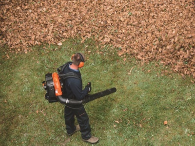 Fukar ECHO PB-265ESLT