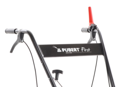 PUBERT FIRST 55P