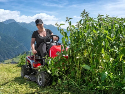 Gecon Dvouválec, Briggs &amp; Stratton Intek 7160