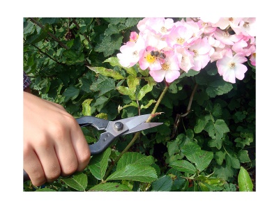 Okatsune 207 - prostřihávací nůžky pro náročné použití