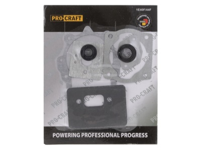 Sada těsnění + olejové těsněné  1E40F/44F PROCRAFT