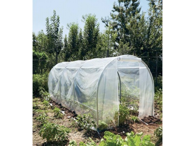 VERDEMAX SPRING MAXI 2598