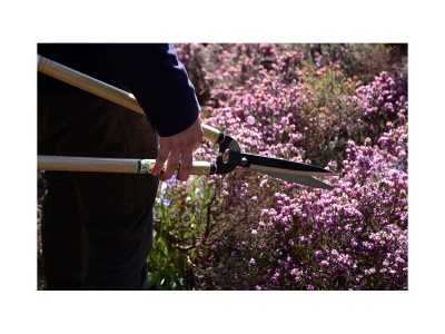 Okatsune 230 - dlouhé plotové nůžky s velkými čepelemi