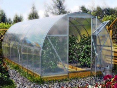 Zahradní polykarbonátový skleník KIN ECONOM 8x3m PC 4mm