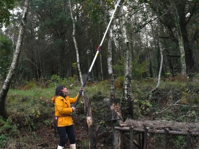 Silky Hayauchi 4900-6.5 - teleskopická pila