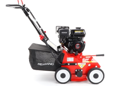 Weibang WB 384 RC