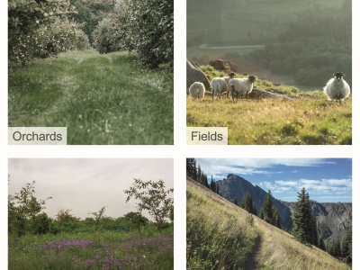 Scheppach BMS 196-88 - lištová sekačka na vysokou trávu s pojezdem