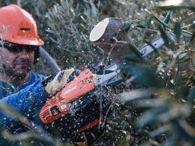 Motorová pila ECHO CS-2511TES