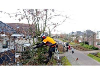 Silky Zubat Ultimate 330-7,5-6,5 - pila se zahnutou pevnou čepelí