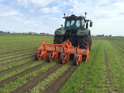 Kultivátor RF STRIP-TILL Struik