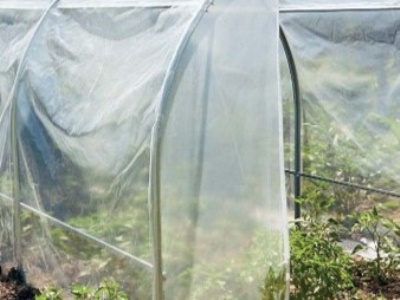 VERDEMAX plachta na 2598