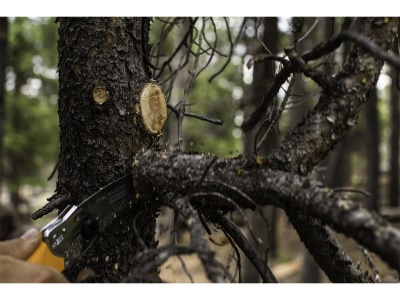 Silky Pocketboy Curve 130-8 - skládací pila