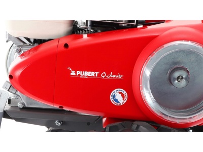 PUBERT QUATRO  JUNIOR V3 60H