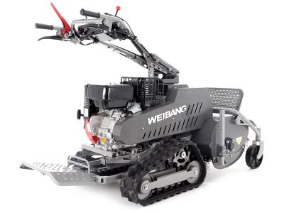 Weibang WB GT 6813-TE