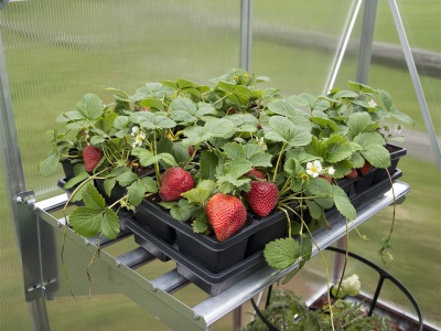 Palram - Canopia Kovová police